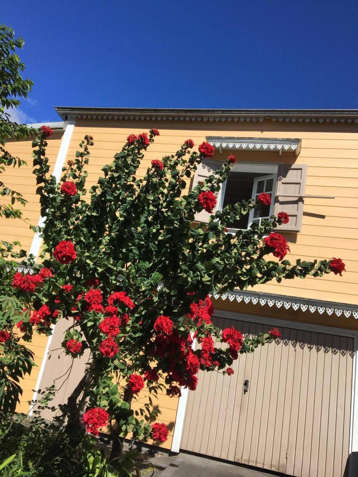 Relais Des Gouverneurs Salazie Eksteriør billede